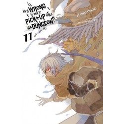 Is It Wrong to Try to Pick Up Girls in a Dungeon? Novel V11