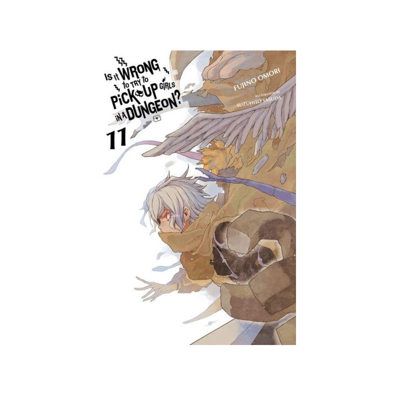 Is It Wrong to Try to Pick Up Girls in a Dungeon? Novel V11