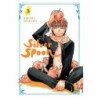 Silver Spoon V03