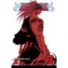 Bleach V73